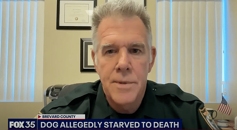 Four-Month-Old Puppy Found Starving & Soaking Wet Under Carport—What Happened Next Sparked Outrage